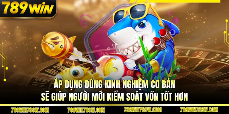 Bắn Cá Ăn Tiền Tại 789win - Mở Ra Hành Trình Săn Thưởng Cuốn Hút 4 Áp dụng đúng kinh nghiệm cơ bản sẽ giúp người mới kiểm soát vốn tốt hơn