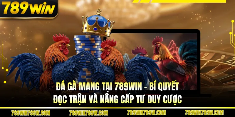 Đá Gà Mang Tại 789win - Bí Quyết Đọc Trận Và Nâng Cấp Tư Duy Cược 1 Đá Gà Mang Tại 789win - Bí Quyết Đọc Trận Và Nâng Cấp Tư Duy Cược