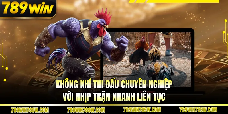 Luật Chơi Đá Gà Thomo Chi Tiết, Hiểu Đúng Để Theo Dõi Chuẩn 2 Không khí thi đấu chuyên nghiệp với nhịp trận nhanh liên tục