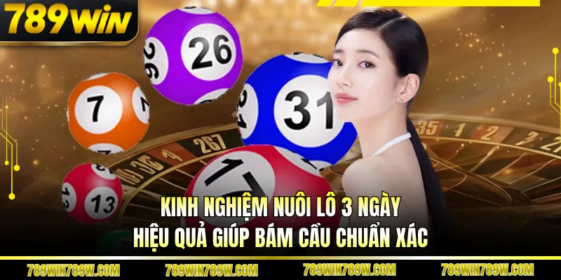 Kinh Nghiệm Nuôi Lô 3 Ngày Hiệu Quả Giúp Bám Cầu Chuẩn Xác 1 Kinh Nghiệm Nuôi Lô 3 Ngày Hiệu Quả Giúp Bám Cầu Chuẩn Xác