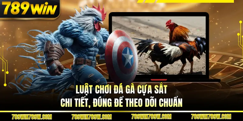 Luật Chơi Đá Gà Cựa Sắt Chi Tiết, Đúng Để Theo Dõi Chuẩn 1 Luật Chơi Đá Gà Cựa Sắt Chi Tiết, Đúng Để Theo Dõi Chuẩn