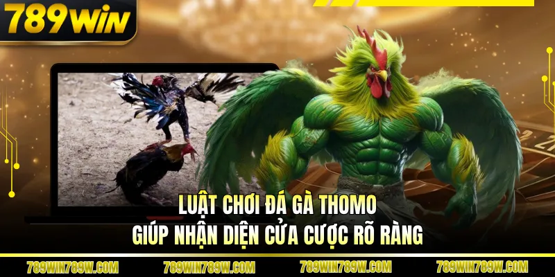 Luật Chơi Đá Gà Thomo Chi Tiết, Hiểu Đúng Để Theo Dõi Chuẩn 4 Luật chơi đá gà Thomo giúp nhận diện cửa cược rõ ràng