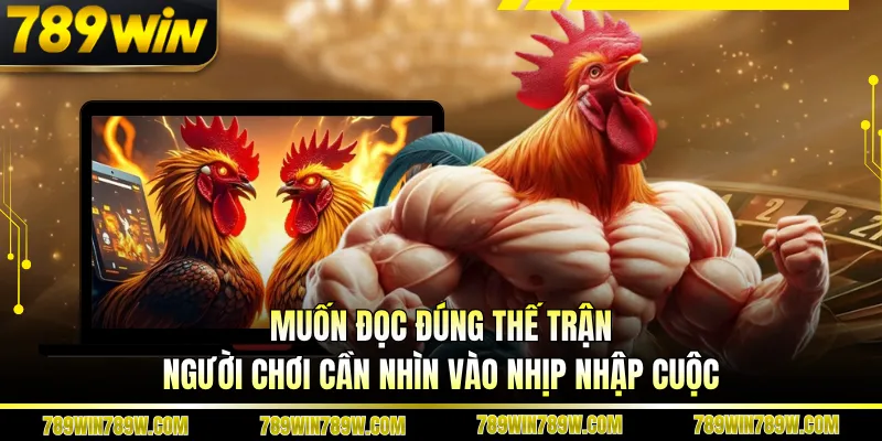Đá Gà Mang Tại 789win - Bí Quyết Đọc Trận Và Nâng Cấp Tư Duy Cược 3 Muốn đọc đúng thế trận, người chơi cần nhìn vào nhịp nhập cuộc