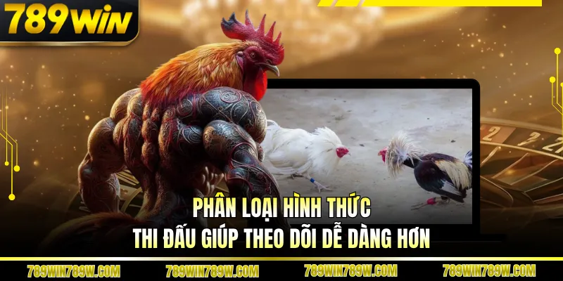 Luật Chơi Đá Gà Thomo Chi Tiết, Hiểu Đúng Để Theo Dõi Chuẩn 5 Phân loại hình thức thi đấu giúp theo dõi dễ dàng hơn