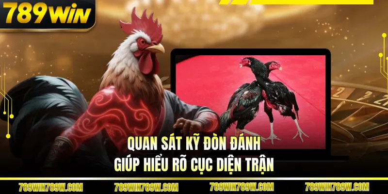 Luật Chơi Đá Gà Cựa Sắt Chi Tiết, Đúng Để Theo Dõi Chuẩn 4 Quan sát kỹ đòn đánh giúp hiểu rõ cục diện trận